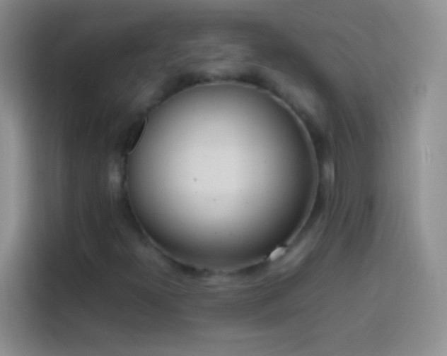 X0000113851300200910010952