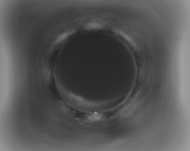 X0000113851303200910010953