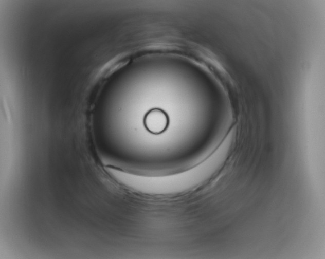 X0000113851304200910010953