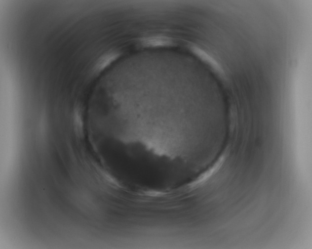 X0000113851305200910010953