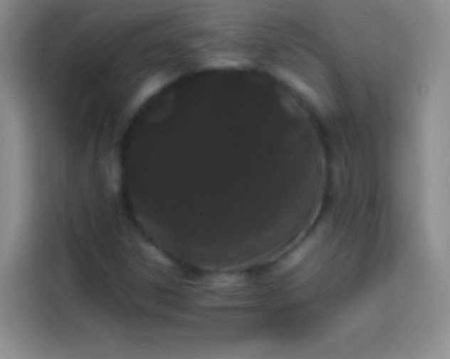 X0000113851306200910010953