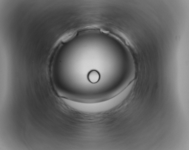 X0000113851308200910010953