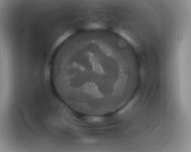 X0000113851309200910010953