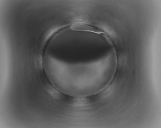 X0000113851310200910010953