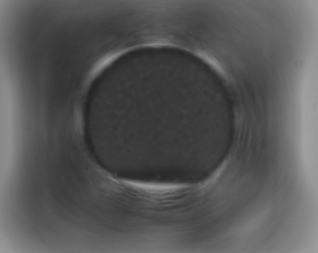 X0000113851311200910010953