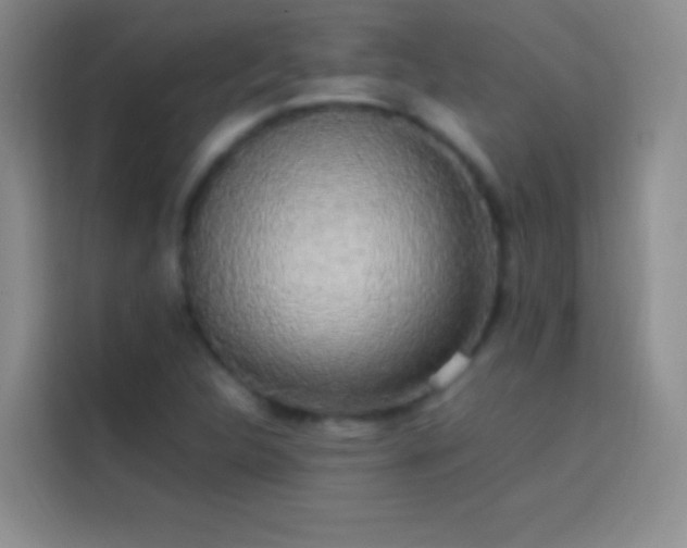 X0000113851312200910010953