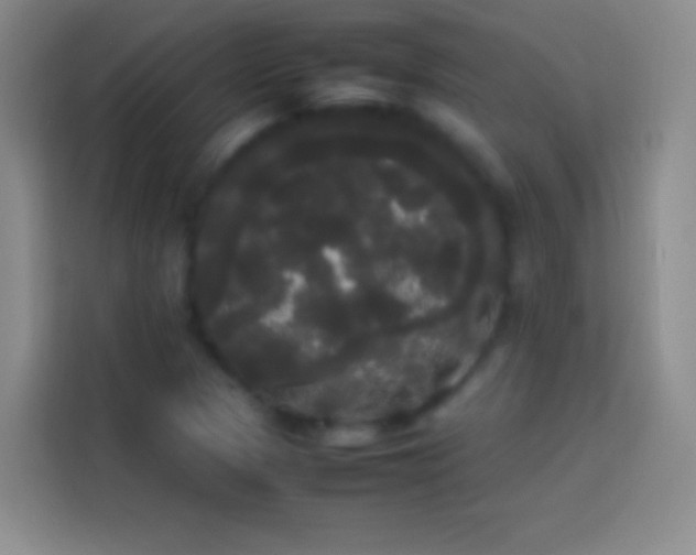 X0000113851313200910010953