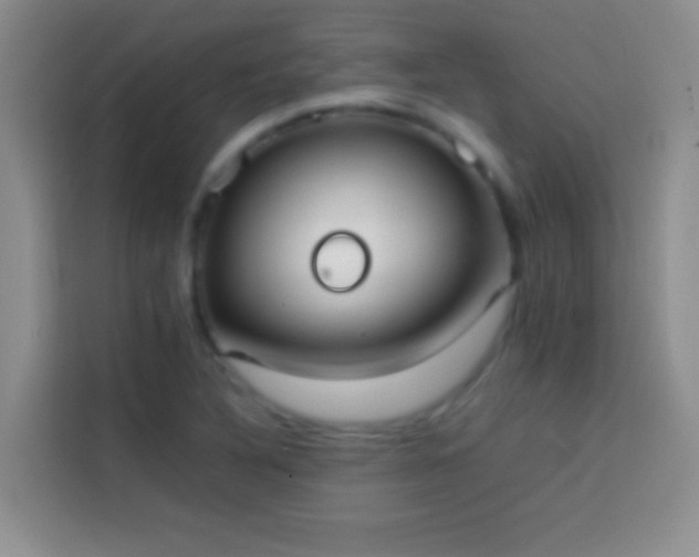 X0000113851316200910010953