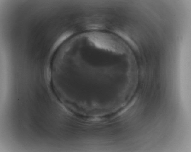 X0000113851317200910010953