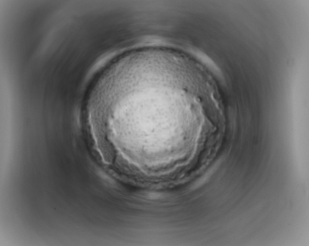 X0000113851318200910010953