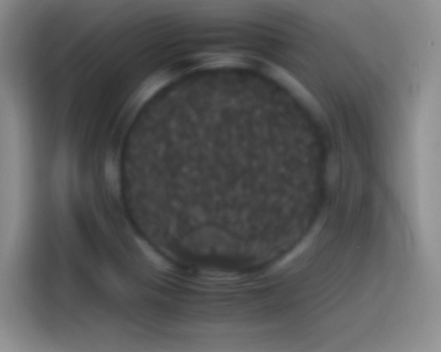 X0000113851321200910010953