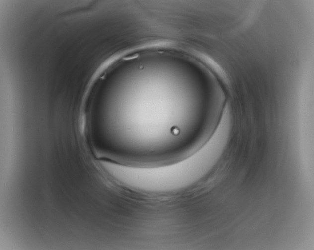 X0000113851324200910010953