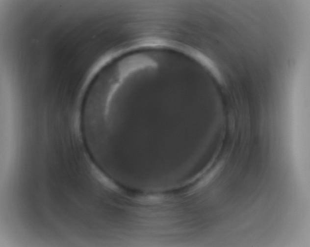 X0000113851326200910010953