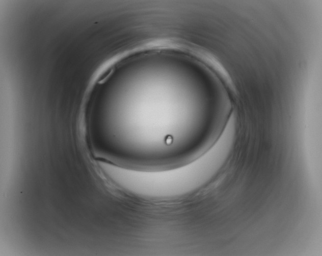 X0000113851328200910010953