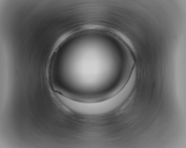 X0000113851330200910010953