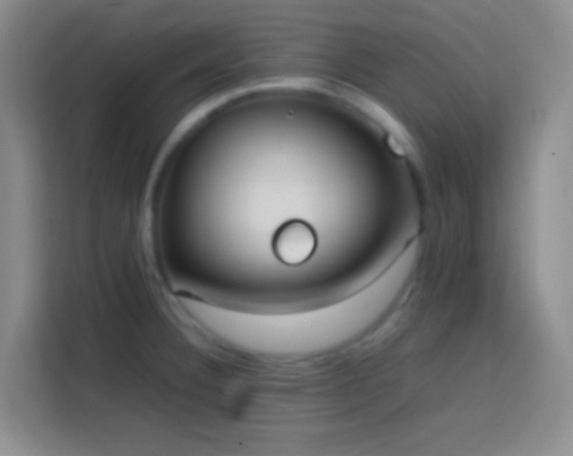 X0000113851332200910010953