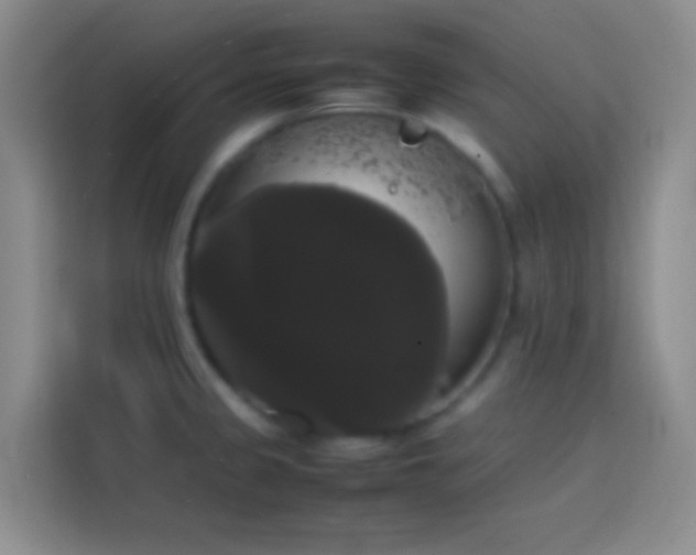 X0000113851333200910010953