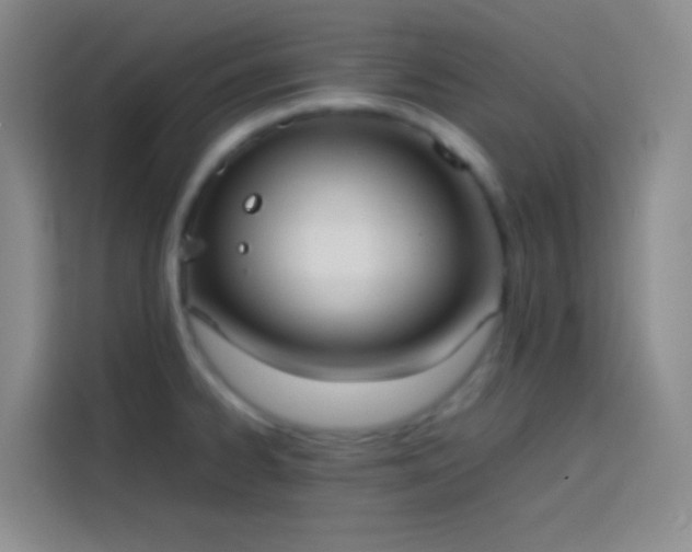 X0000113851334200910010953