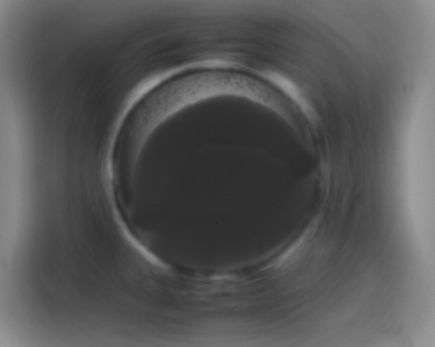 X0000113851335200910010953