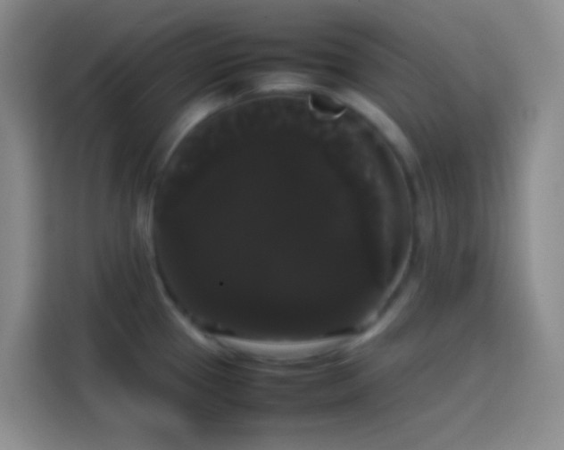 X0000113851337200910010953