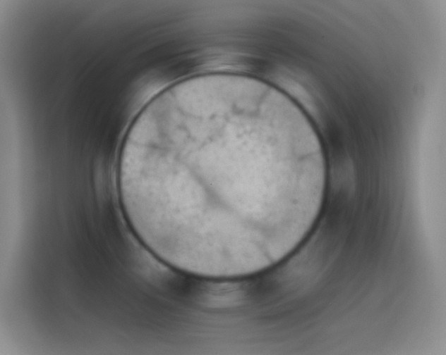 X0000113851338200910010953