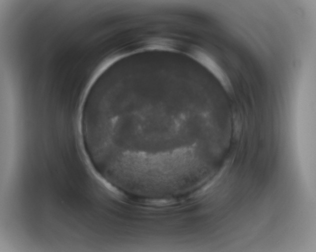 X0000113851339200910010953