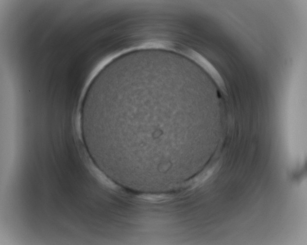 X0000113851340200910010953