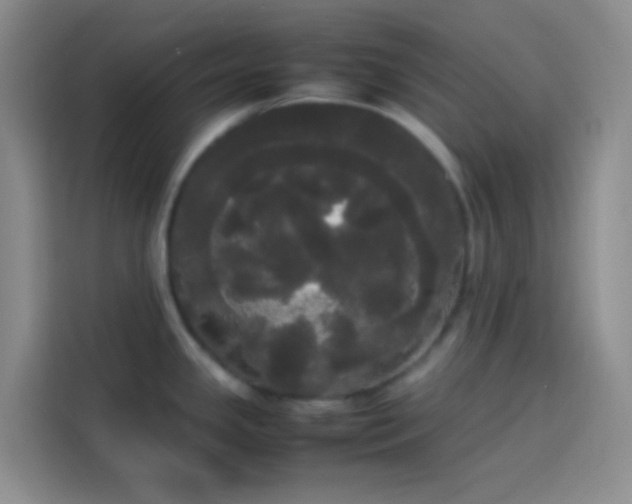 X0000113851341200910010953