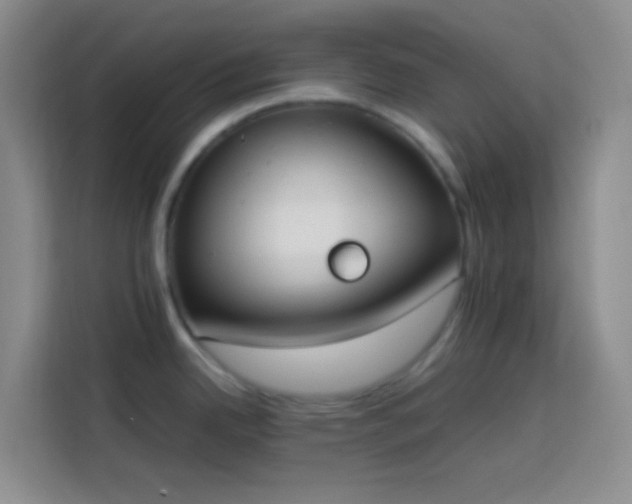 X0000113851342200910010953