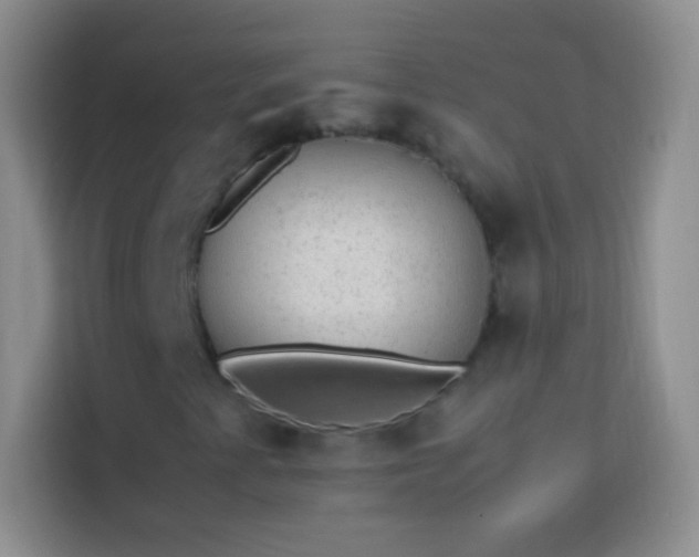 X0000113851345200910010952