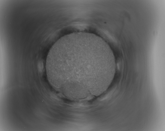 X0000113851347200910010952