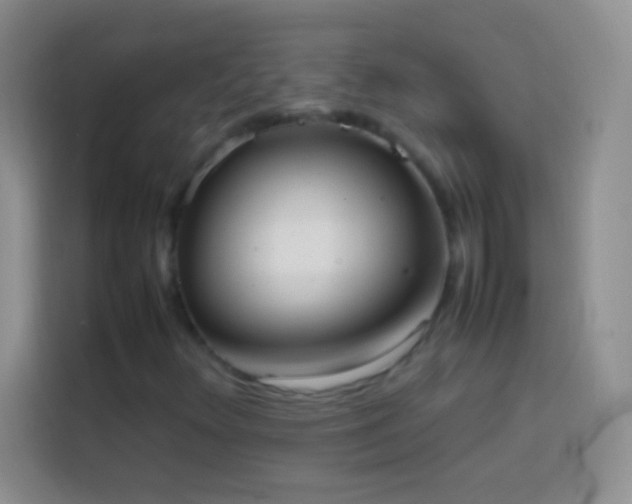 X0000113851348200910010952