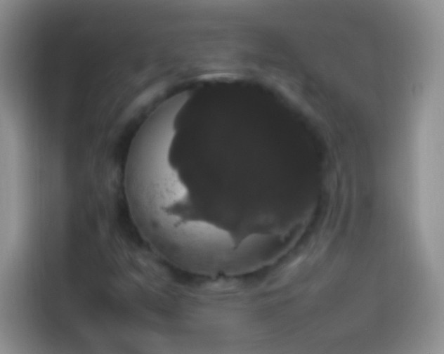 X0000113851351200910010952