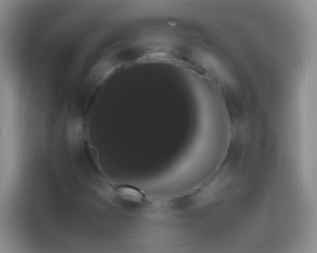 X0000113851353200910010952