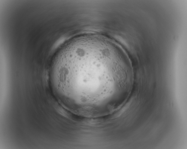 X0000113851355200910010952