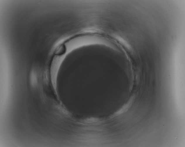 X0000113851358200910010952