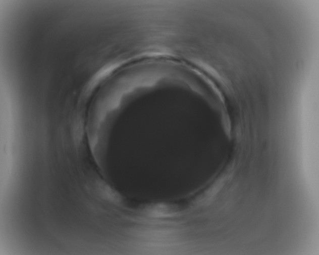 X0000113851359200910010952