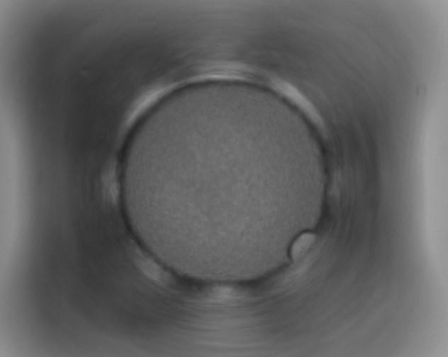 X0000113851360200910010952