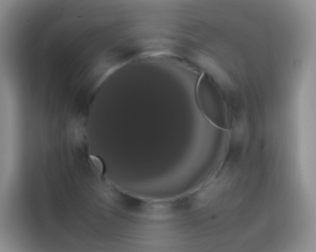 X0000113851361200910010952