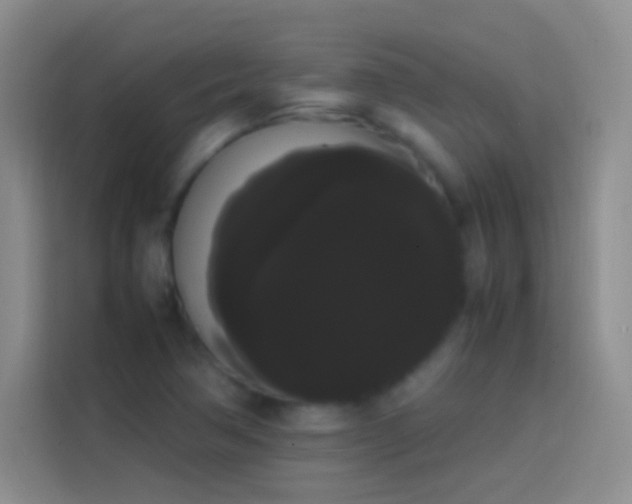 X0000113851362200910010952