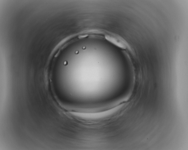 X0000113851364200910010952