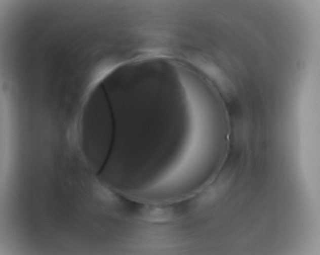 X0000113851365200910010952