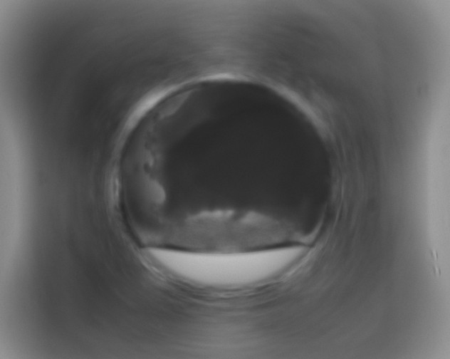 X0000113851367200910010952