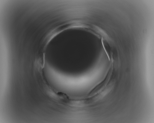 X0000113851369200910010952