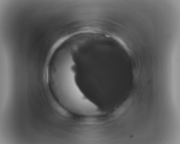 X0000113851371200910010952