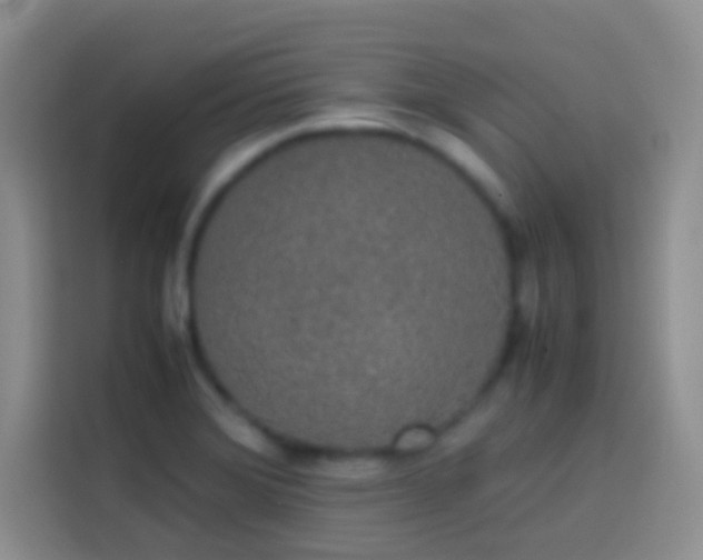 X0000113851372200910010952