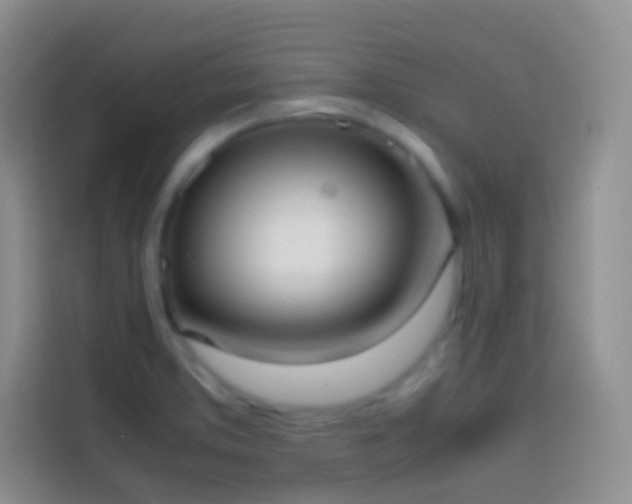 X0000113851373200910010952