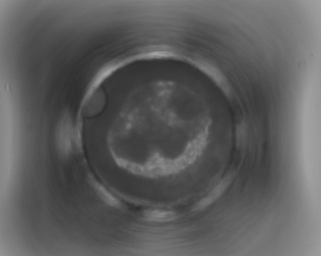 X0000113851374200910010952