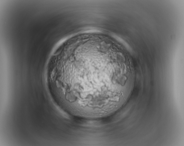 X0000113851375200910010952