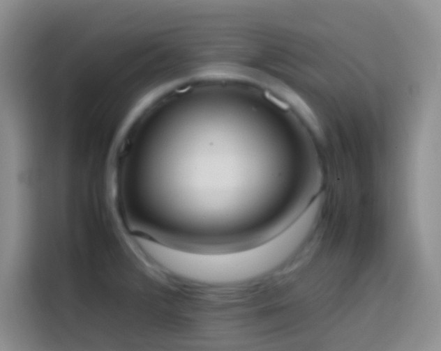 X0000113851376200910010952